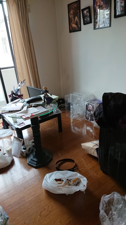 お掃除ロボット買ったら部屋は片付く？