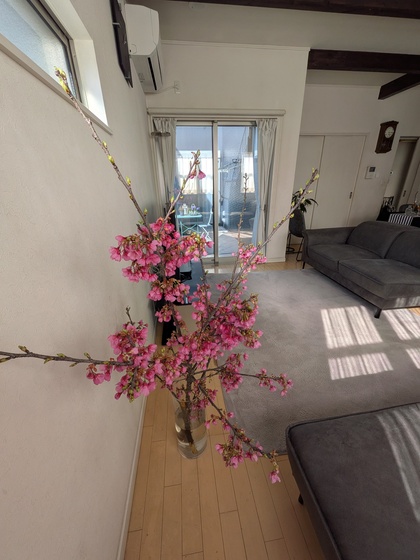 熊本　片付け　体型や顔に自信がない　そんな人ほど頼って欲しいクローゼットキャンペーン♪