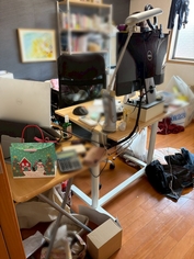 スピードプラン